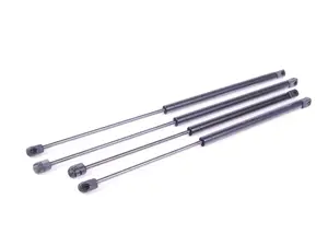 Hood And Hatch Strut Kit