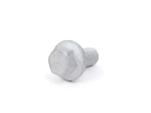 Hex Bolt - Priced Each