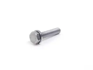 Hex Bolt With Washer - Priced Each