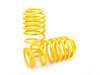 ES#1866574 - SMVW8003 -  Street-Line Coilover Kit - Fixed Damping - (NO LONGER AVAILABLE) - Set your MK4 low and tight for optimal performance - FK - 