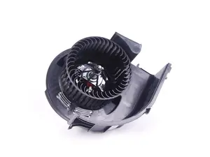 Blower Motor
