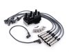 ES#2695727 - 101000035AH - Ignition Service Kit - Everything necessary for an ignition system overhaul - Assembled By ECS - Volkswagen