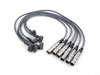 ES#2695727 - 101000035AH - Ignition Service Kit - Everything necessary for an ignition system overhaul - Assembled By ECS - Volkswagen