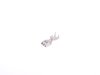 ES#2676011 - 61138364848 - SOCKET CONTACT ELO-POWER 5,2 - Genuine MINI - 