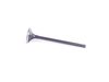 ES#259707 - AEVN-1103 - Supertech Stainless Exhaust Valve - 1.8T/2.7T - Priced Each  - (NO LONGER AVAILABLE) - Standard sized valve head diameter, factory triple groove keeper setup - Supertech - 