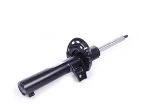 Front Strut Assembly - Priced Each
