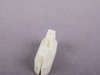ES#2503622 - 51417211653 - DUAL CLIP - Genuine BMW - BMW
