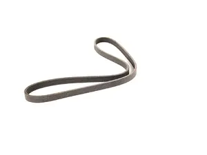 Accessory Belt