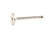 ES#3404 - 021109601L - Intake Valve - Priced Each - Lets fuel and air into combustion chamber - TRW - Volkswagen