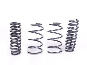 Eibach Pro Kit Springs - Set