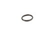 ES#166823 - 61311459030 - Gasket Ring - Used with spacer sleeve for engine cover - Genuine BMW - BMW