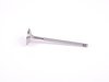 ES#2575863 - 11347505731 - Exhaust Valve - Priced Each - Replacement exhaust valve - AE - BMW