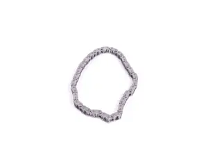 Oil Pump Chain