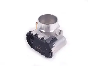 Throttle Body Assembly