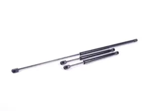 Hood And Trunk Strut Kit