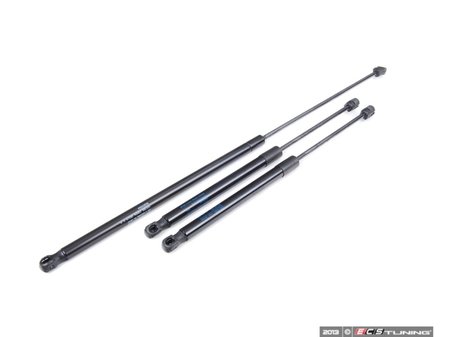 ES#2602143 - 3C0823359AKT1 - Hood And Hatch Strut Kit - Replace your worn and sagging support struts - Assembled By ECS - Volkswagen