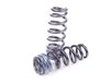 ES#1876361 - 50490-5 - Sport Spring Set - Vert Chassis Only - Mild lowering for the daily driver. - H&R - BMW