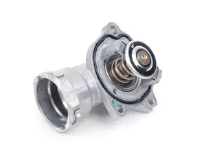 Thermostat Assembly 