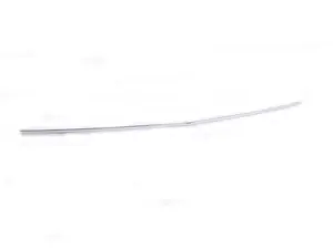 Chrome Hood Trim