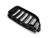 ES#2643419 - 51138057213 - Kidney Grille - Left - Double slat kidney grille  - Genuine BMW - BMW