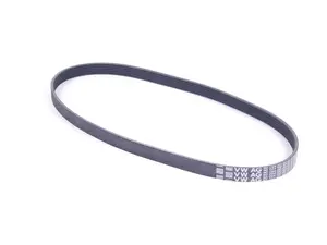 Accessory Belt