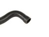 ES#24986 - 11531741411 - Radiator Hose - Lower - Connects the lower radiator coolant port to the water pump - Genuine BMW - BMW