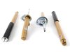 ES#2219635 - 21004006 - FSD 2100 Shocks & Struts Kit - (NO LONGER AVAILABLE) - The perfect shock and strut kit for the road and track. Automatically adjusted dampening! - Koni - 