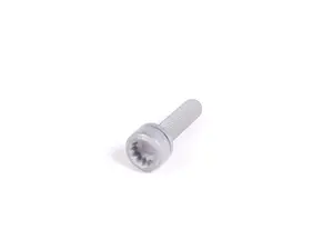 Bolt - Priced Each 