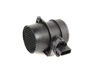 Mass Air Flow Sensor (MAF)