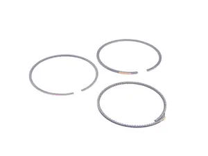 Piston Ring Repair Kit - ( 0 Size )