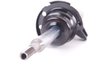 ES#1897657 - 31316796156 - Front Strut Assembly - Right - Standard replacement front strut - Genuine BMW - BMW
