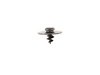 ES#337204 - 3B0061494 - "Short" Round Floor Mat Screws - Black - (NO LONGER AVAILABLE) - Screws into your carpet to attach round retainer floor mats, 4 screws per kit - Genuine Volkswagen Audi - 