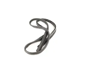 E36 Sunroof Frame Gasket