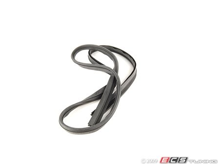 ES#157438 - 54128220030 - E36 Sunroof Frame Gasket - Prevent the elements from getting passed your sunroof. - Genuine BMW - BMW