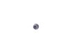 ES#259769 - N10459602 - Phillips Head Screw - Priced Each - Secures the lower door mouldings to door - Genuine Volkswagen Audi - Audi