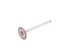 ES#4516 - 027109601CIT - Intake Valve-Priced Each - Osvat Brand - Osvat - Audi Volkswagen
