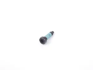 Hexagon Socket Head Panel Bolt
