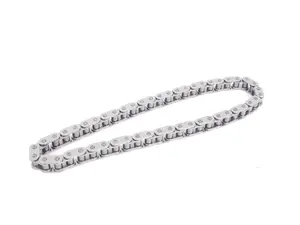 Oil Pump Chain