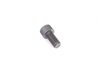 ES#1512 - N0199123 - Caliper Carrier Bolt - Priced Each - (NO LONGER AVAILABLE) - Allen bolt that holds caliper carrier to axle beam. M10x1.25x20 - Genuine Volkswagen Audi - 