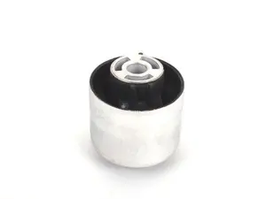Trailing Arm Bushing