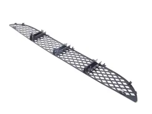 Front Center Lower Grille