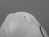 ES#261796 - 021121407 - Coolant Expansion Tank - (NO LONGER AVAILABLE) - Replace your cracked or faded expansion tank with this Genuine part - Genuine Volkswagen Audi - 