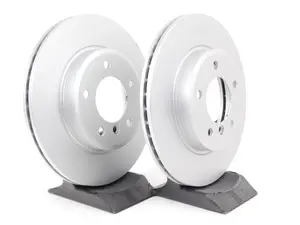 Front Brake Rotors - Pair (300x22)