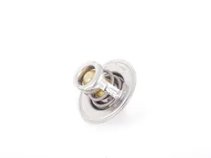 Thermostat (80°C) 