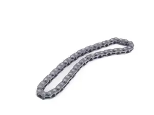 Oil Pump Chain