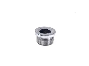Drain/Fill Plug