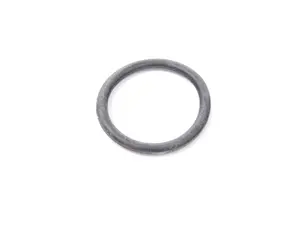 Oil Filter Housing O-Ring