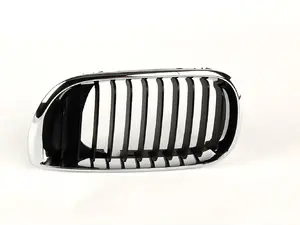 Kidney Grille - Left