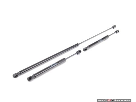 ES#2587328 - 8E0823359AKT4 - Hood And Trunk Strut Kit - Complete kit to fix both the hood & trunk struts - Stabilus - Audi