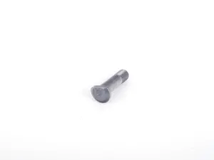 Eccentric Bolt